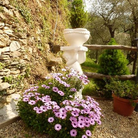 Casa Vacanze Sole Borghetto d'Arroscia Bagian luar foto