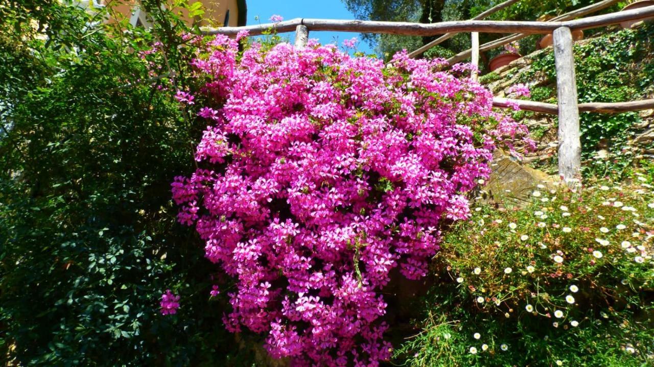 Casa Vacanze Sole Borghetto d'Arroscia Bagian luar foto
